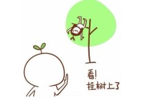 没有意外，又被挂树上了！风好大
